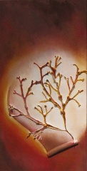 AUE1